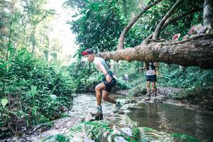 BIB: 
                            <button type="button" onclick="openModal(25432310)" class="btn btn-primary btn-sm float-right btn-popup" data-toggle="modal" data-target=".modal-high-quality">
                        <i class="fas fa-shopping-cart"></i> Add to Cart
                    </button>
                                            <button type="button" onclick="isThisMe(25432310, true)" class="btn btn-success btn-sm float-right btn-popup btn-isme hidden" data-toggle="tooltip" data-placement="bottom" title="นี่คือรูปของคุณใช่ไหม คลิกที่นี่เพื่อเอาเข้าอัลบั้ม">
                        <i class="fas fa-plus"></i> Add to album
                    </button>
                    <button type="button" onclick="isThisMe(25432310, false)" class="btn btn-warning btn-sm float-right btn-popup btn-isnotme hidden">
                        <i class="fas fa-ban"></i> Remove from album
                    </button>